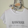 camiseta-rawr-significa-te-quiero-en-dinosaurio